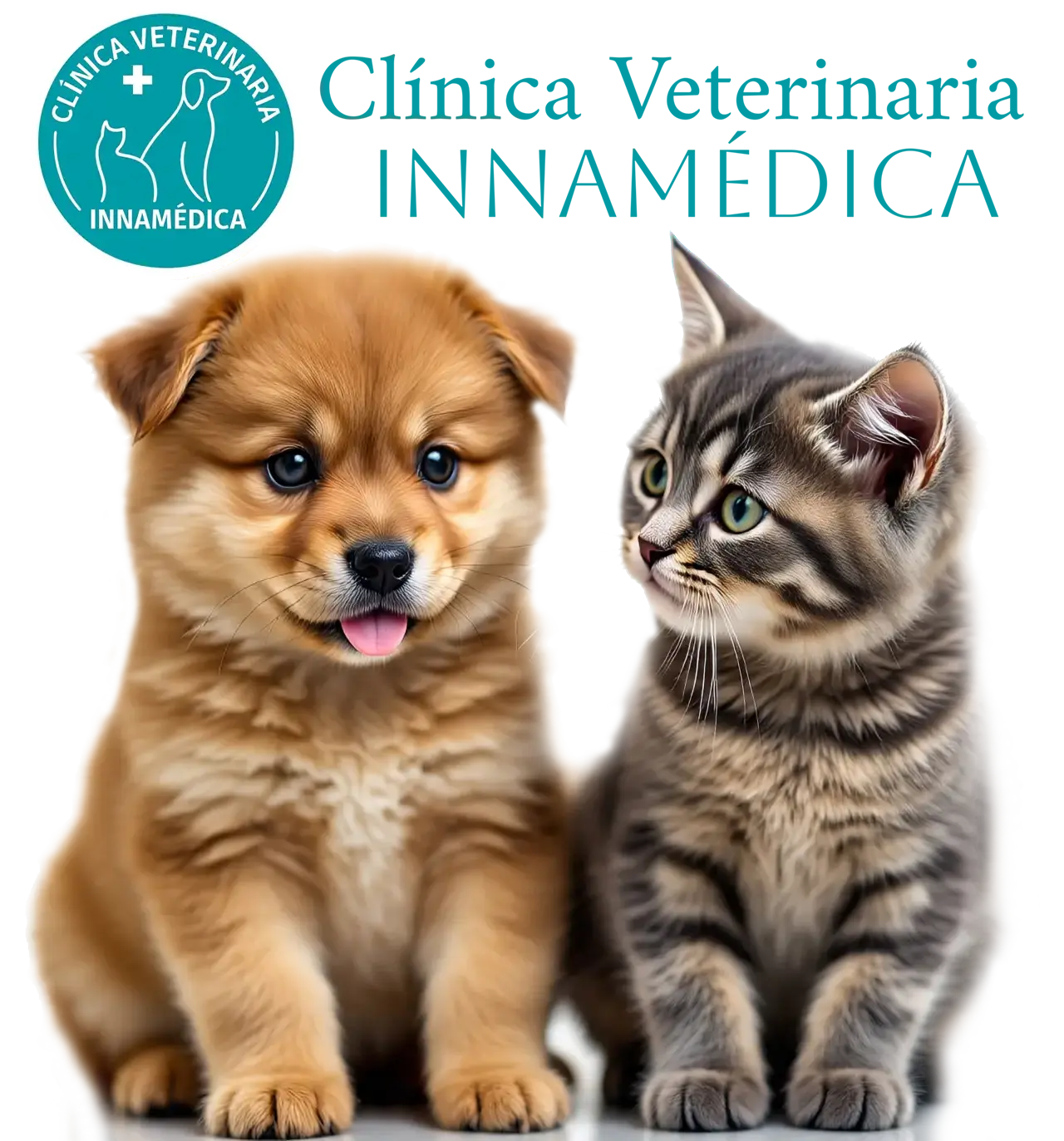 Clínica Veterinaria InnaMédica